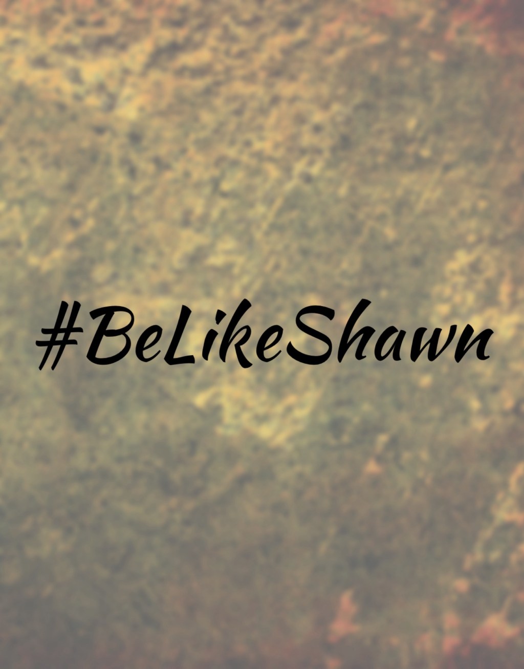 Shawn the Friendly Non-Employee at&nbsp;Lowe’s